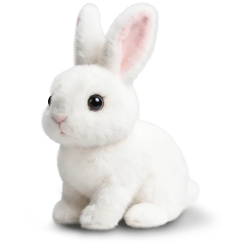 Hoppsy